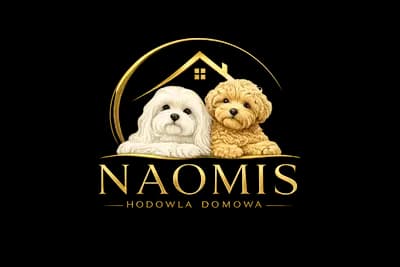 Naomis logo